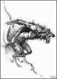[Boris Vallejo]